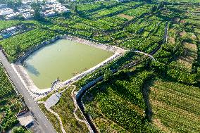 Agricultural Irrigation in Anyang