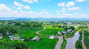 China Most Beautiful Rural Area Liangping Yumi Road