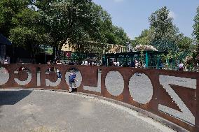 Chapultepec Zoo In Mexico Celebrates 100 Years Of Existence