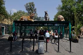 Chapultepec Zoo In Mexico Celebrates 100 Years Of Existence