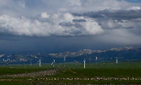 CHINA-QINGHAI-HAIXI-GRASSLAND (CN)