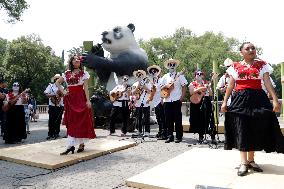 Celebration The  100th Anniversary Of Mexico's Chapultepec Zoo