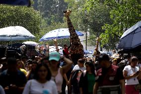 Celebration The  100th Anniversary Of Mexico's Chapultepec Zoo