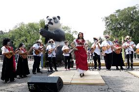 Celebration The  100th Anniversary Of Mexico's Chapultepec Zoo