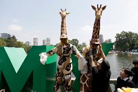 Celebration The  100th Anniversary Of Mexico's Chapultepec Zoo