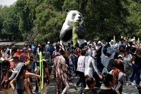 Celebration The  100th Anniversary Of Mexico's Chapultepec Zoo