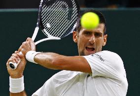 Tennis: Wimbledon championships