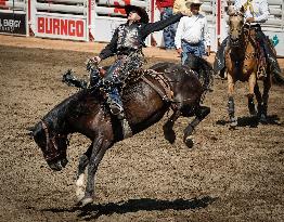 Rodeo At Calgary Stampede - Canada