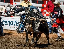 Rodeo At Calgary Stampede - Canada