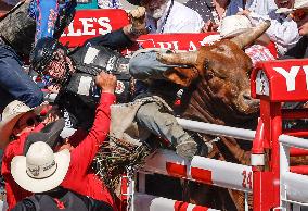 Rodeo At Calgary Stampede - Canada