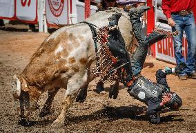 Rodeo At Calgary Stampede - Canada