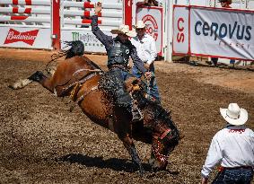 Rodeo At Calgary Stampede - Canada