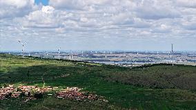 China Largest Wind Power Base In Zhangjiakou