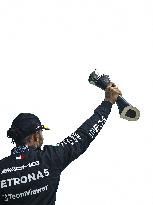 British Grand Prix - Max Verstappen Wins