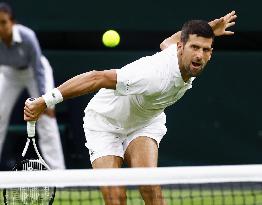 Tennis: Wimbledon championships