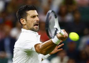 Tennis: Wimbledon championships