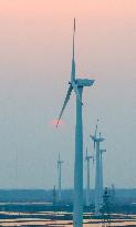 Wind Turbine in Mudflat of the Yellow Sea in Yancheng