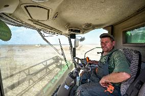 Rapeseed harvesting in Zaporizhzhia Region
