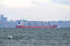 Last ship with grain left port of Odesa