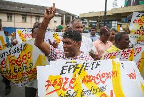 Port Authority Employees Are Protest Against The Current Government In Colombo