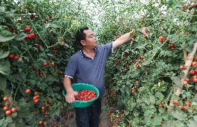 CHINA-SICHUAN-YIBIN-GREEN DEVELOPMENT (CN)