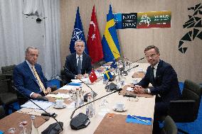 Turkey Backs Sweden's NATO Membership - Vilnius