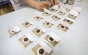 TCM Sanfu Sticker Popular In China