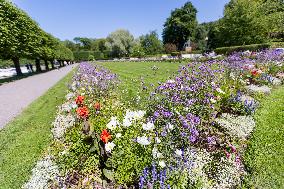 Wildflower beds