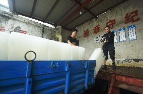 Ice Factory Demand Skyrocketed in Hangzhou