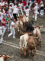 San Fermin Festival - Pamplona