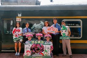 CHINA-CHONGQING-GUIZHOU-TRAIN-ONBOARD MARKET (CN)