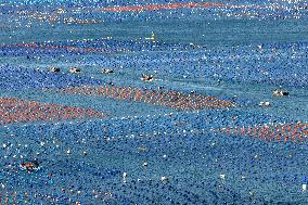 China Largest Abalone Farming Base