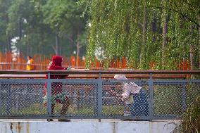 Green Open Spaces In Jakarta