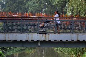 Green Open Spaces In Jakarta