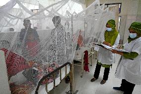 Dengue Patients In Dhaka