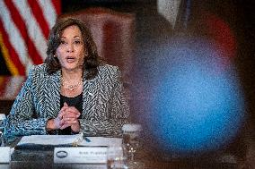 Vice President Kamala Harris delivers remarks on risks related to artificial intelligence