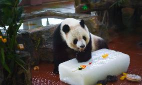 CHINA-GUANGDONG-GUANGZHOU-ZOO-ANIMALS-COOLING OFF(CN)