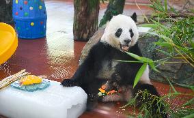 CHINA-GUANGDONG-GUANGZHOU-ZOO-ANIMALS-COOLING OFF(CN)