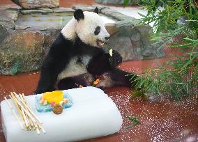 CHINA-GUANGDONG-GUANGZHOU-ZOO-ANIMALS-COOLING OFF(CN)