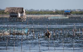 Fishing In Jaffna, Sri Lanka