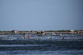 Fishing In Jaffna, Sri Lanka