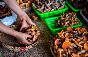 CHINA-YUNNAN-KUNMING-EDIBLE WILD MUSHROOMS-PEAK SEASON (CN)