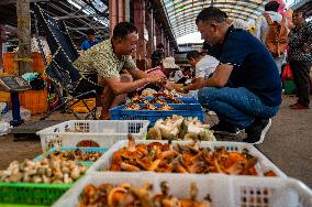 CHINA-YUNNAN-KUNMING-EDIBLE WILD MUSHROOMS-PEAK SEASON (CN)