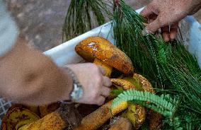 CHINA-YUNNAN-KUNMING-EDIBLE WILD MUSHROOMS-PEAK SEASON (CN)