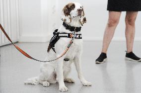 World's first anti-doping dog