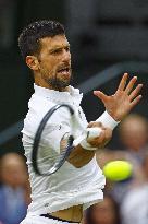 Tennis: Wimbledon championships