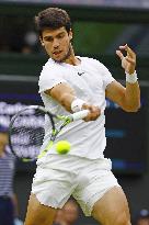 Tennis: Wimbledon championships