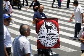 Third Peaceful National March "Animal Welfare With Science" In Mexico City