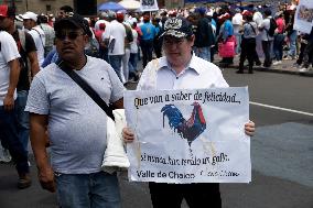 Third Peaceful National March "Animal Welfare With Science" In Mexico City