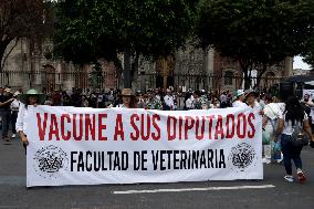 Third Peaceful National March "Animal Welfare With Science" In Mexico City